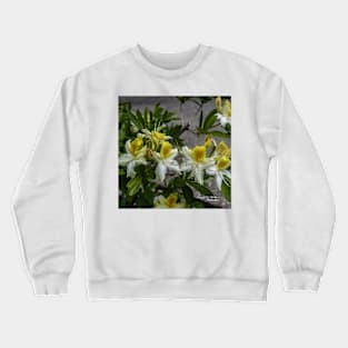Azaleas in Bloom Crewneck Sweatshirt
